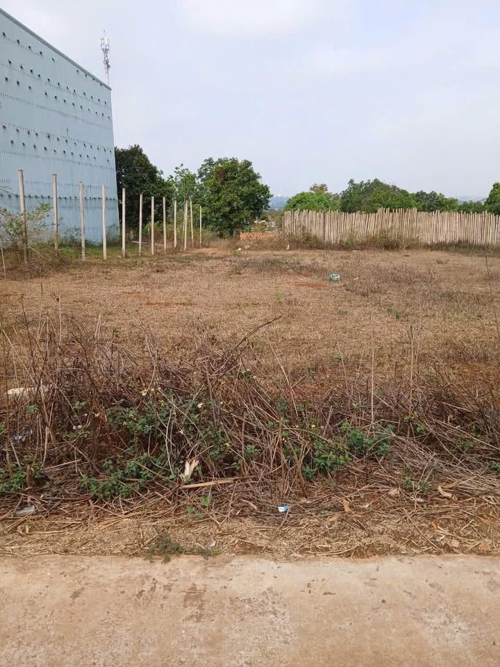 Đất nền 165m² hẻm Nguyễn Chí Thanh, An Phú, Gia Lai - Giá 500 triệu