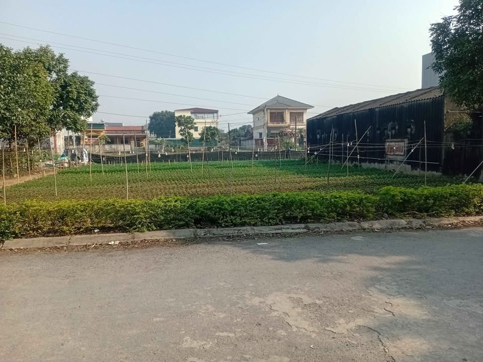 Đất Vàng Hoa Lư - Kinh Doanh Du Lịch, Cạnh Bến Thuyền Tràng An 322m²