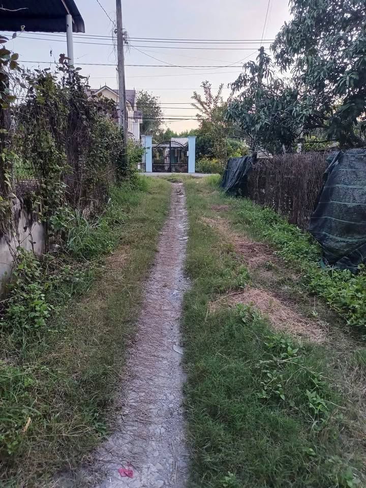 Đất Vườn Nghỉ Dưỡng An Nhơn Tây Củ Chi 2636m² - Giá Đầu Tư 3.3 Tỷ