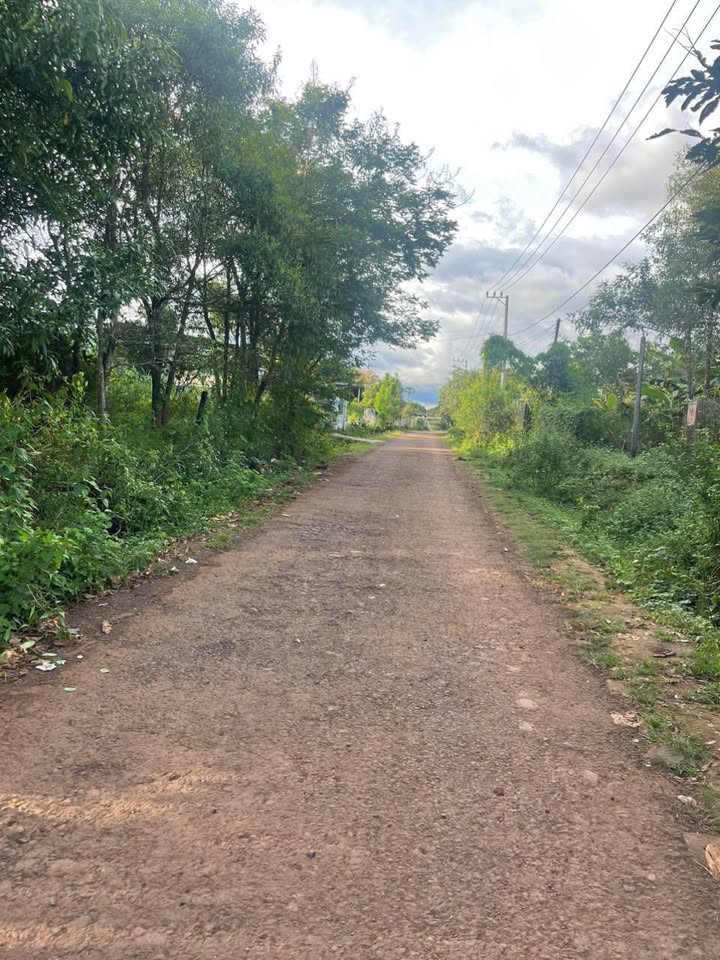 Đất Vàng Hẻm Chính Tỉnh Lộ 664 Krông Pa - 560m² Thổ Cư, Kinh Doanh Tốt