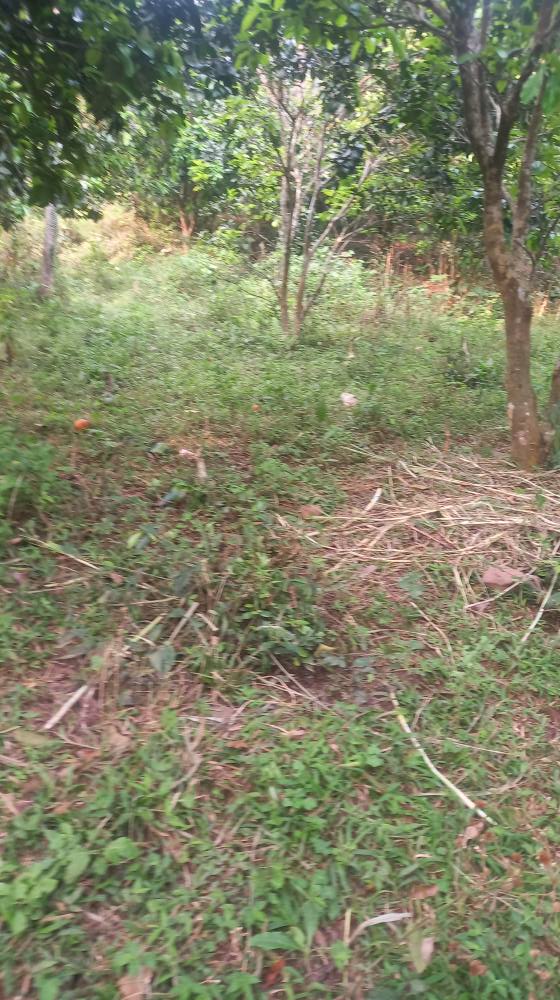 Đất Vườn 5000m² Bám Suối, View Đẹp Tại Kim Bôi, Hòa Bình - Giá 1 Tỷ