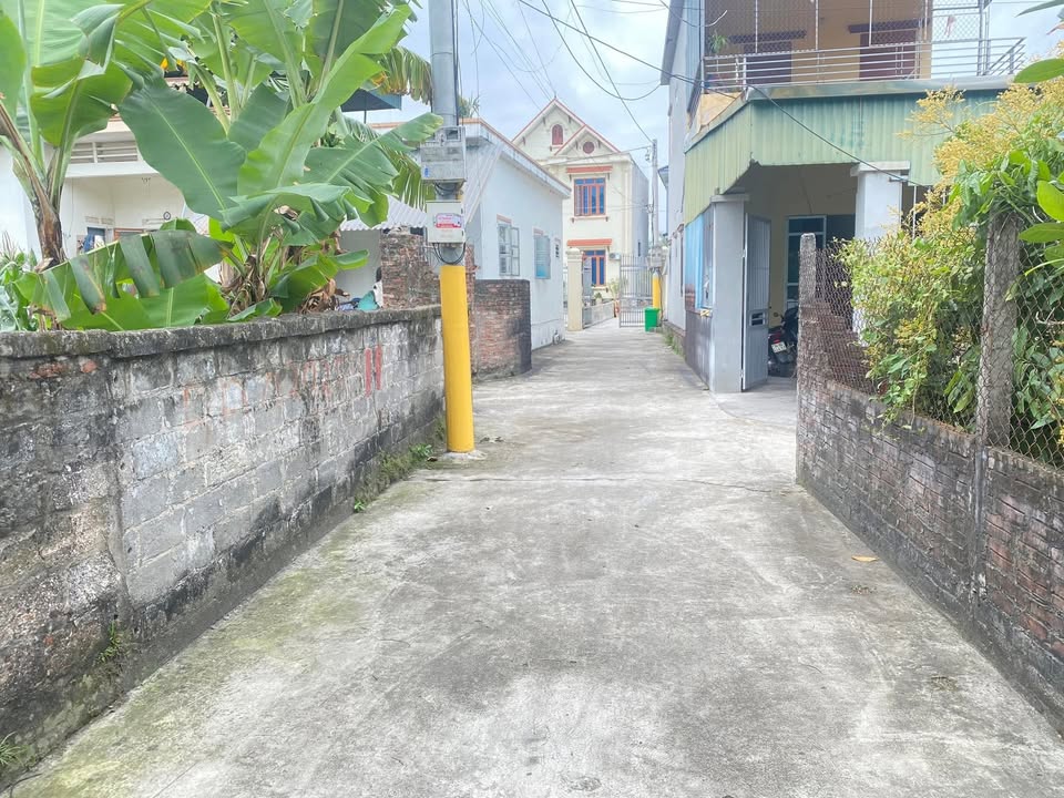 Đất nền 79.9m² An Đức, Ninh Giang, Hải Dương - Sổ đỏ chính chủ, giá tốt