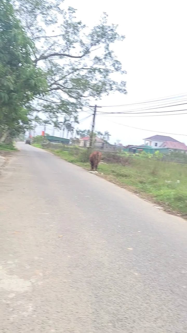 Bán Đất Nền 103.6m² Đường Hoàng Hanh, TP Vinh - Sổ Đỏ Thổ Cư