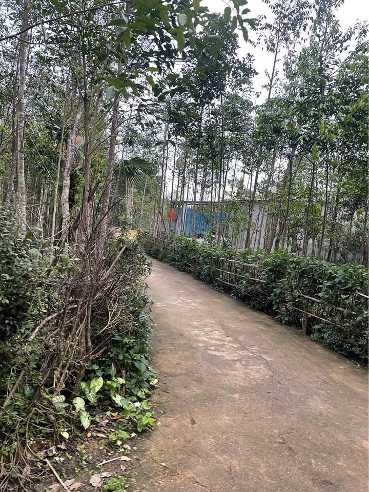 Bán đất Xóm 11 Phúc Trạch, Hà Tĩnh - 684m² thổ cư, giá 1 tỷ - Sẵn sổ