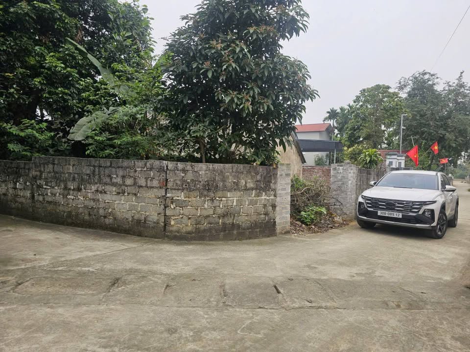 Đất nền Tân Lập - Đan Phượng 45m² - Sổ hồng sẵn - Giá 6 tỷ