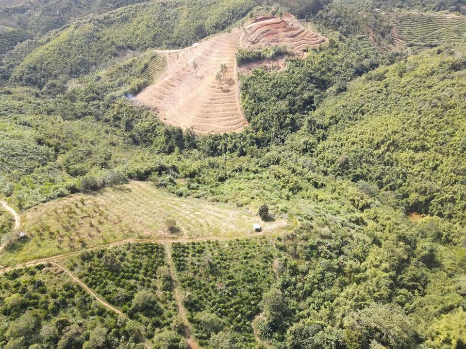 Đất Vườn Đăk Nông 3ha Giá Tốt - Sổ Hồng Sẵn Sàng