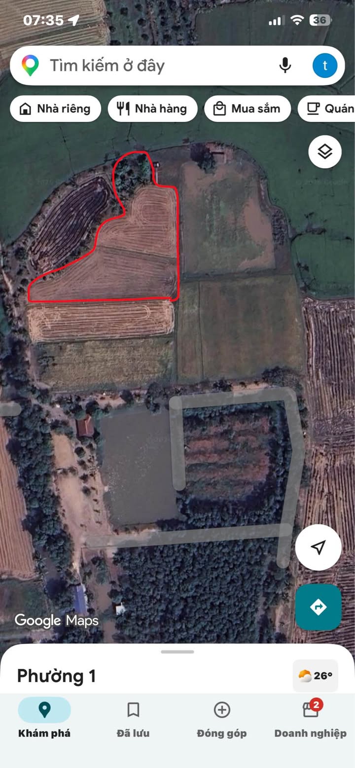 Đất Vườn Tây Ninh 4088m² Sổ Đỏ Sẵn Sàng - Đầu tư Farmstay Hấp Dẫn