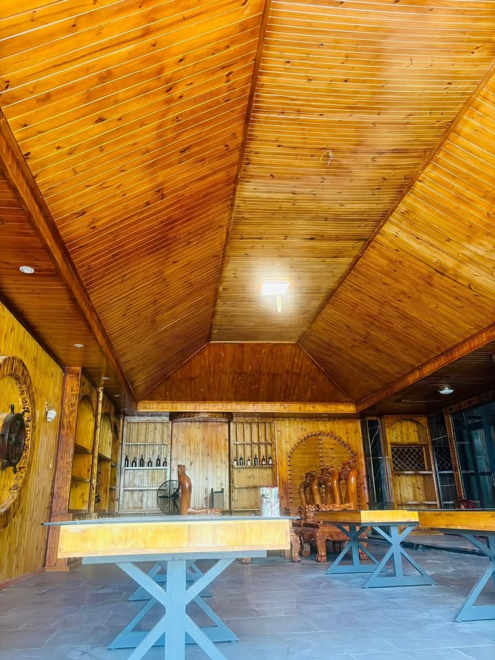 Bán Gấp Biệt Thự Kép 620m² Sổ Riêng, Sân Vườn, Gần Chợ Thạnh Phú