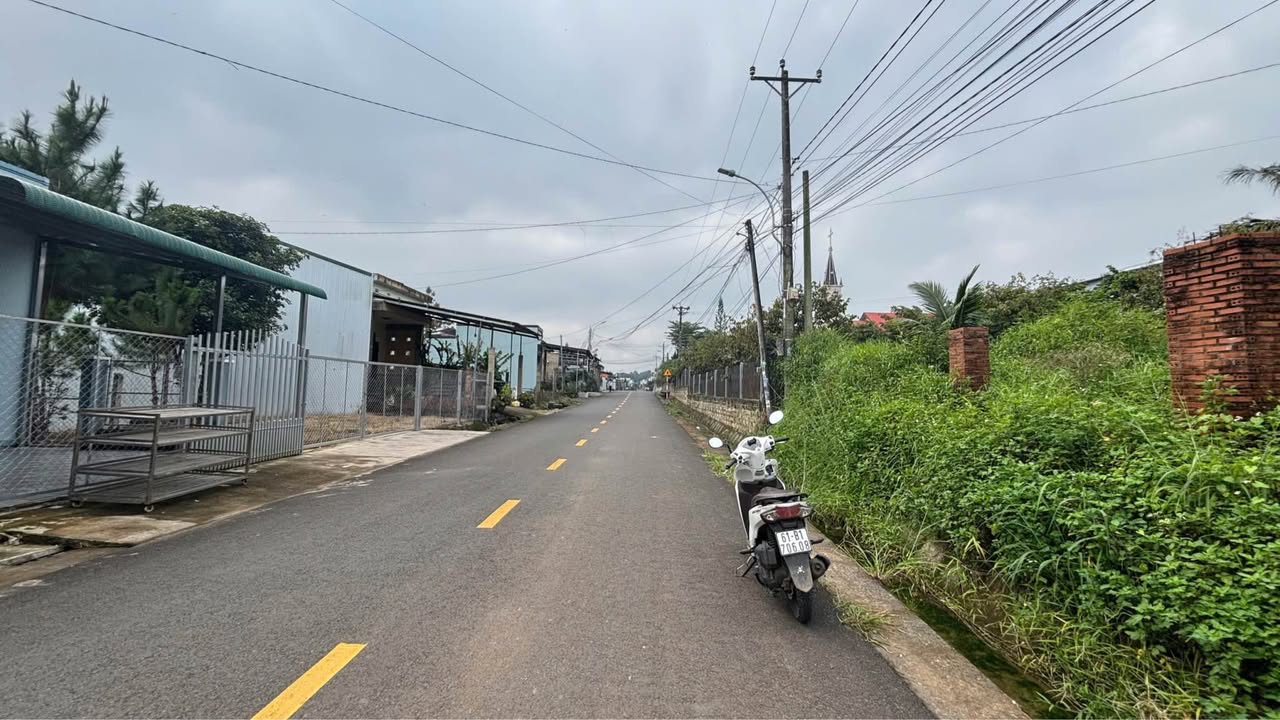 Bán Đất Vàng Mặt Tiền Lữ Gia, Bảo Lộc - 1000m², Sổ Hồng Riêng