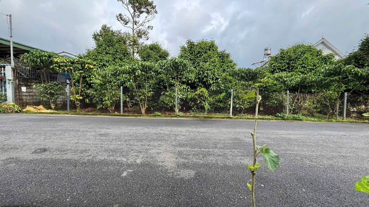 Biệt thự Lữ Gia, Bảo Lộc 641m² - Sẵn 400m² Thổ Cư, Kinh Doanh Tốt