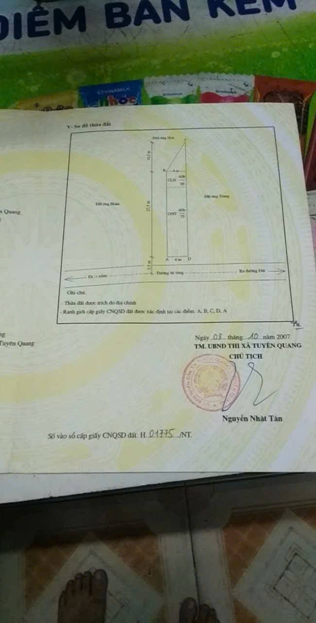 Bán đất 148m² Phường Nông Tiến, Tuyên Quang - Ngõ ô tô, giá chỉ 8xx triệu