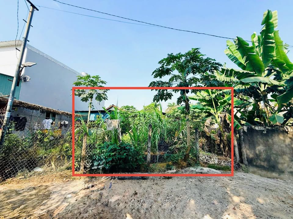 Đất Nền 101m² Gần Chợ Tân Bình, Dĩ An - Giá 2.1 Tỷ