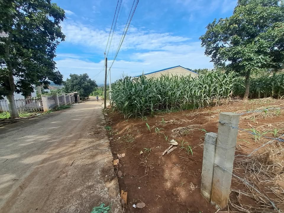 Bán Đất Nền Lâm Hà 120m² Giá 580 Triệu - Sổ Sẵn Sẵn Sàng Giao Dịch