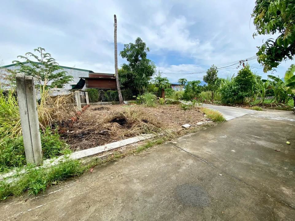 Đất Lô Góc 75.7m² Hướng Đông Nam - 720 Triệu Tại Diên Khánh, Khánh Hoà