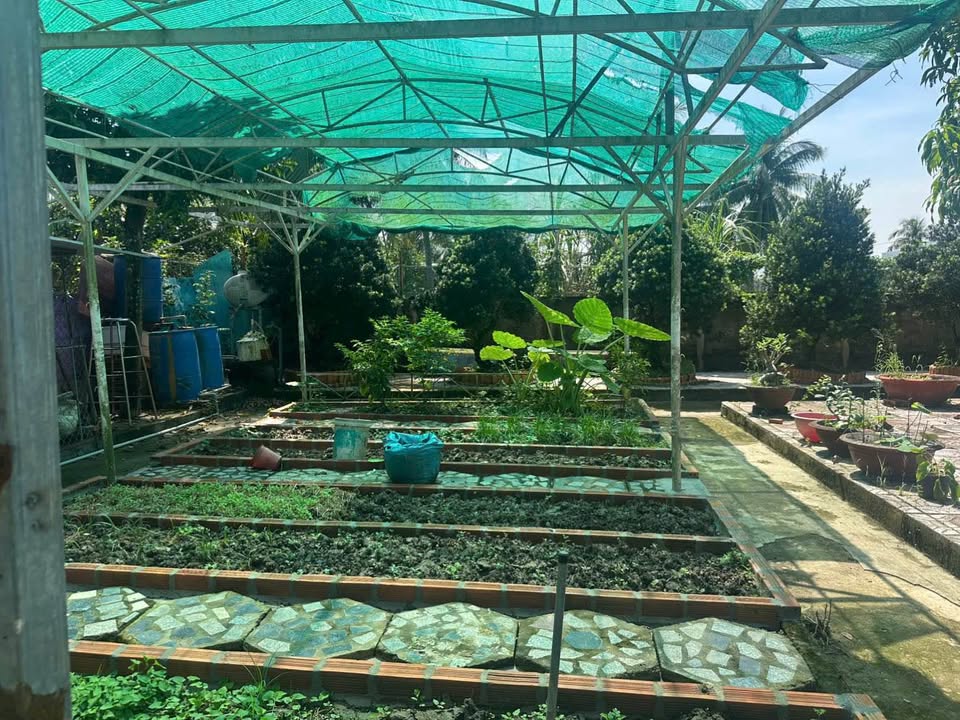 Bán Đất Mặt Tiền Thái Sanh Hạnh, Mỹ Tho - 767m² (Nở Hậu) - 8.5 Tỷ