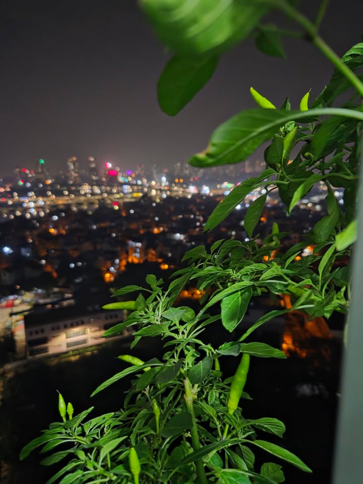 Bán Căn hộ 56m² Hoàng Liệt, Hoàng Mai - Sổ hồng lâu dài, 2PN