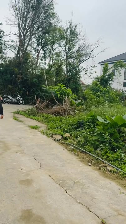 Nhà 100m² Trần Hưng Đạo, TX Thái Hòa - 1.9 Tỷ, 10 Phút Đến Visip