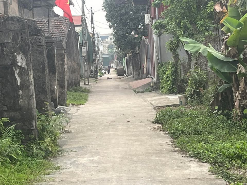 Đất nền Phú Xuyên 80m² - Sổ đỏ sẵn, đầu tư sinh lời cao