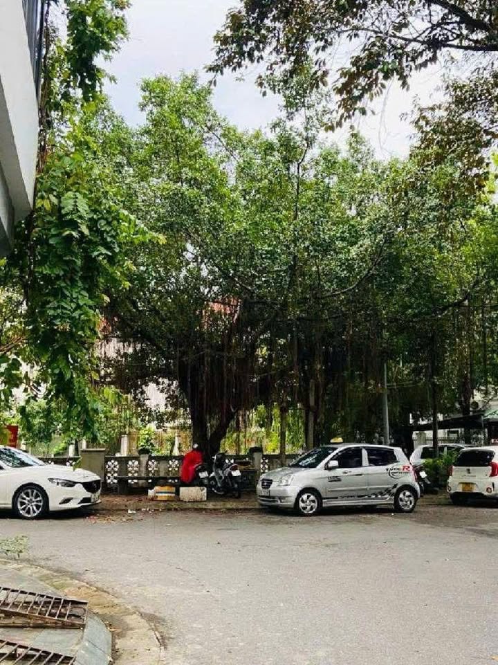 Nhà Mặt Phố Ô Tô Tránh Mỗ Lao, Hà Đông - Lô Góc Kinh Doanh Đỉnh Cao 35m²