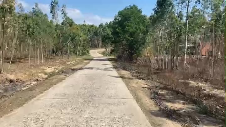 Bán gấp Farm 1,5ha mặt đường bê tông, ôm suối tại Kông Chro, Gia Lai