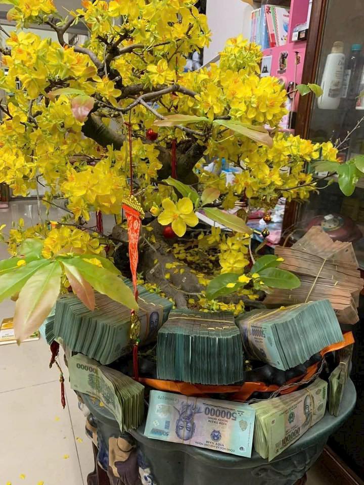 Đất Vàng 2730m² Phường Bình Long, Bình Phước - Sổ Hồng Sẵn Sàng