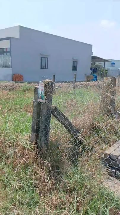 Nhà Cấp 4 Đường Oto 460m² Đức Huệ - Sổ Thổ Cư 150m² - Giá 1.15 Tỷ