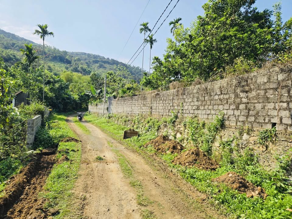 Đất Nền Lương Sơn 862m² - Sổ Sẵn Sẵn Sàng Giao Dịch