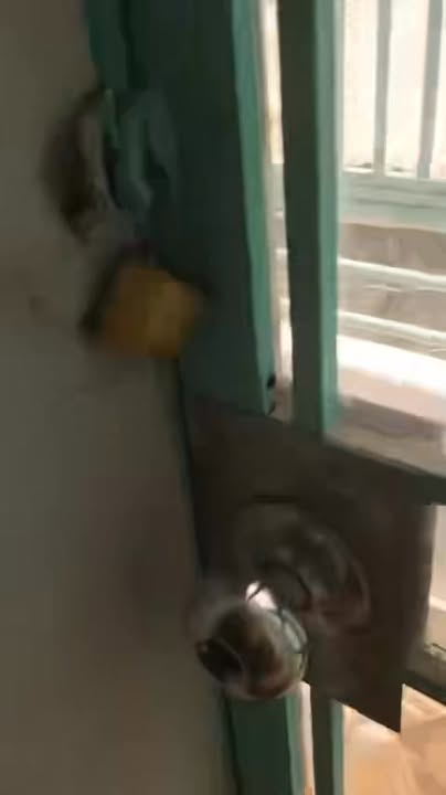 Cho thuê nhà nguyên căn Phường 11 Gò Vấp - 4.5 Triệu/Tháng