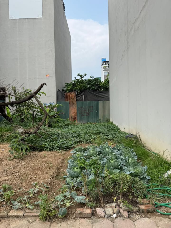 Bán Đất Dịch Vụ Vân Canh Hoài Đức 49m² - Giá 11 Tỷ, Vị Trí Đẹp