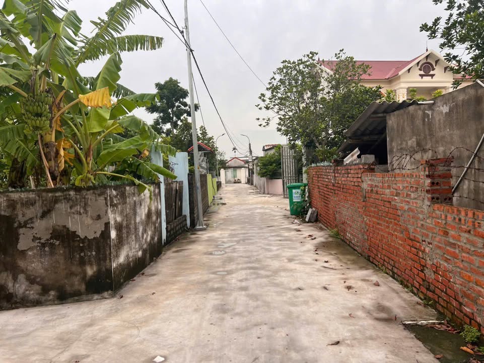 Đất nền An Lão - Lô góc 130m² mặt tiền rộng, tiềm năng sinh lời cao