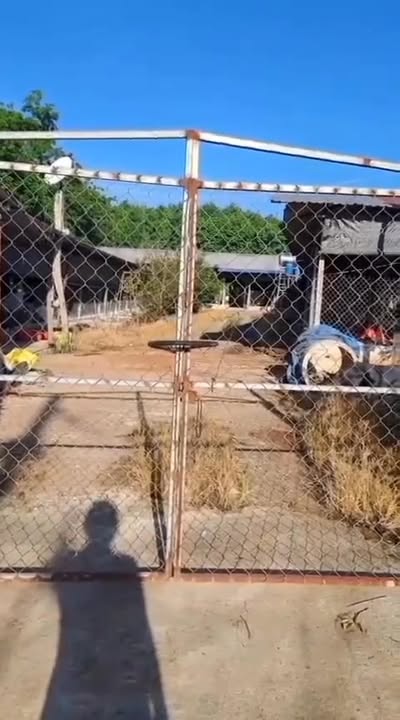 Đất Vườn Minh Long Chơn Thành 3151m² - Gần Núi Tà Hách, Sổ Đỏ