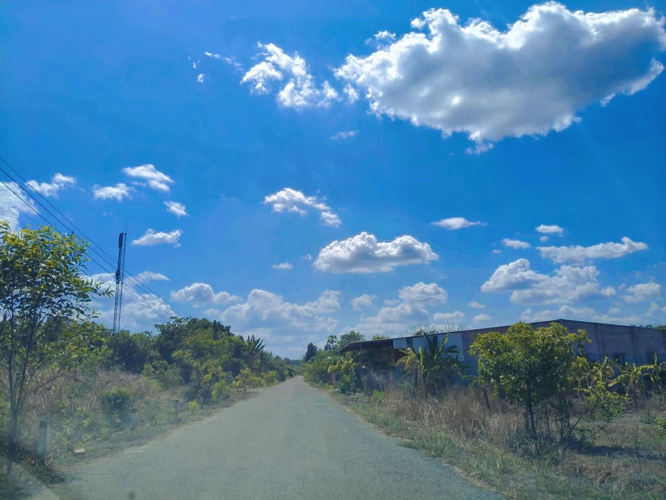 Đất Nền 1000m² Hớn Quản, Bình Phước - Giá Đầu Tư 155 Triệu