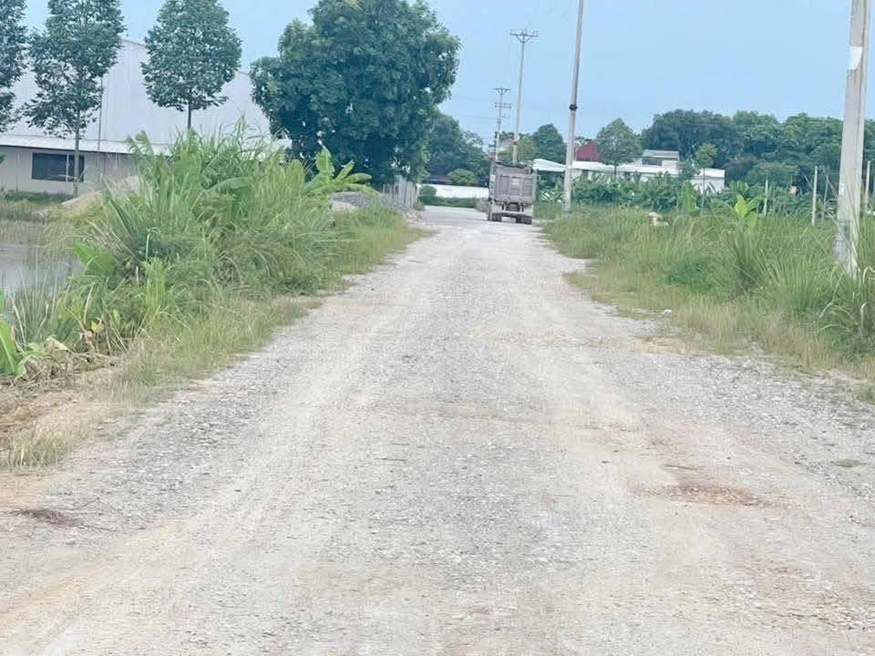 Đất nền 125m² mặt tiền trục chính Quảng Trạch, Thanh Hóa - Giá chỉ 9xx triệu