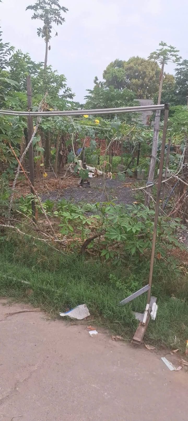 Bán Đất Long Bình Biên Hòa 100m² - Sổ Đỏ Đất Ở Đô Thị