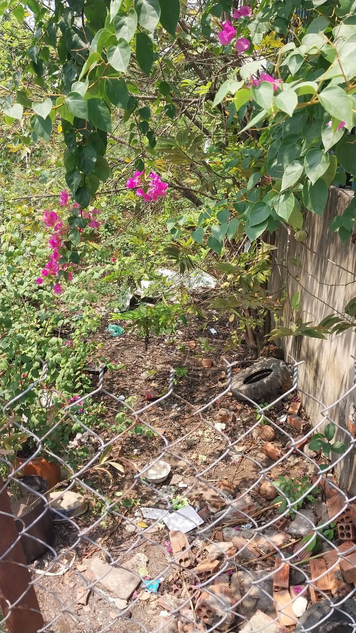 Bán Đất Long Bình Đồng Nai 850tr - Sổ Đỏ Đô Thị, Đường 5m