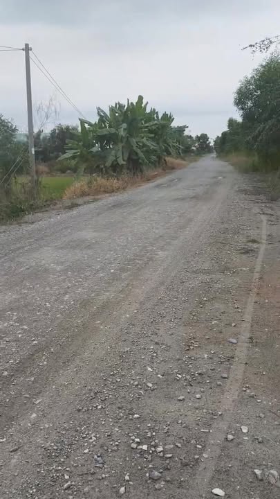 Đất Vườn Long An 11.000m² Mặt Tiền Trục Chính Giá Đầu Tư