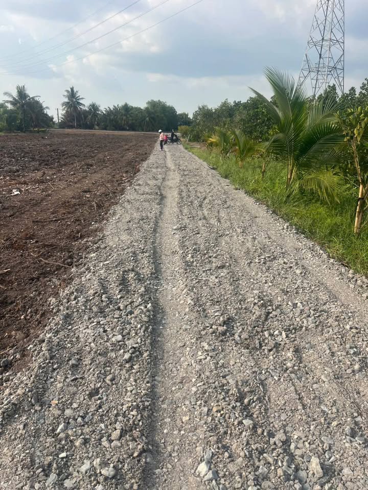 Bán đất vườn 500m² tại Bình Đức, Long An - Giá 380 triệu