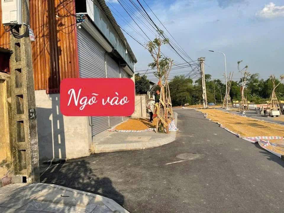 Đất Sổ Đỏ Lâu Dài Đông Anh 44.5m² - Chỉ 2 Tỷ, Oto Tránh