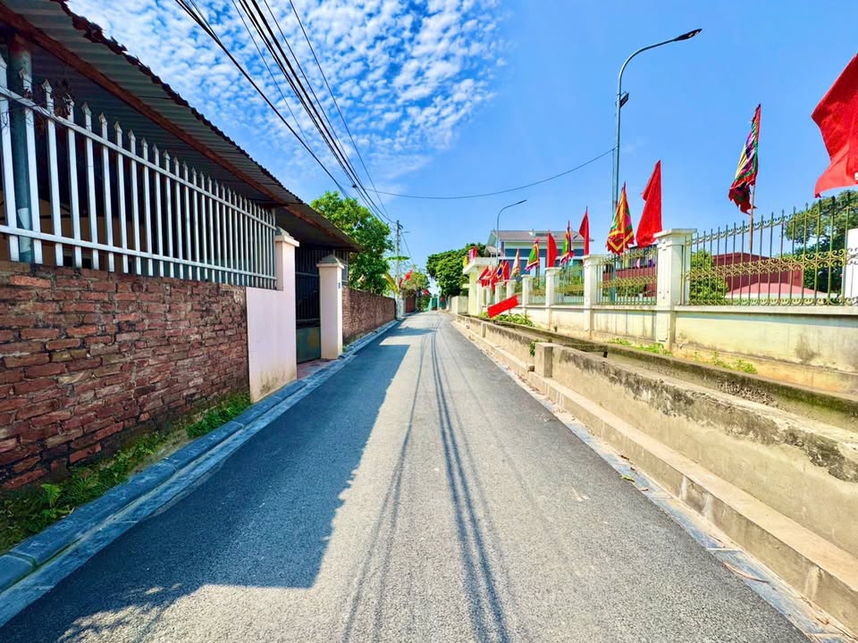 Bán Gấp Đất Nền Đông Anh 116m² - Sổ Đỏ Sẵn, Ô Tô Tránh