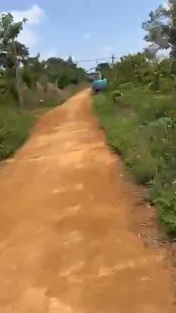 Bán Đất Vườn 3.2ha Đức Trọng - 2.5 Tỷ, Có Sẵn Cà Phê, Tiêu, Nhà Nhỏ