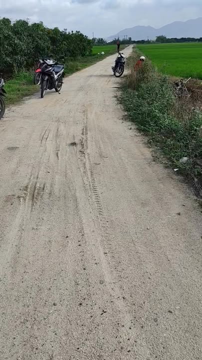 Bán Đất Vườn 3000m² Bám Đường Bê Tông Diên Khánh, Khánh Hòa - Giá Thỏa Thuận