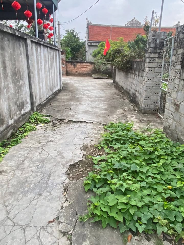 Nhà 97m² Dưỡng Mông, Kim Thành - Sẵn Sàng Về Ở Ngay