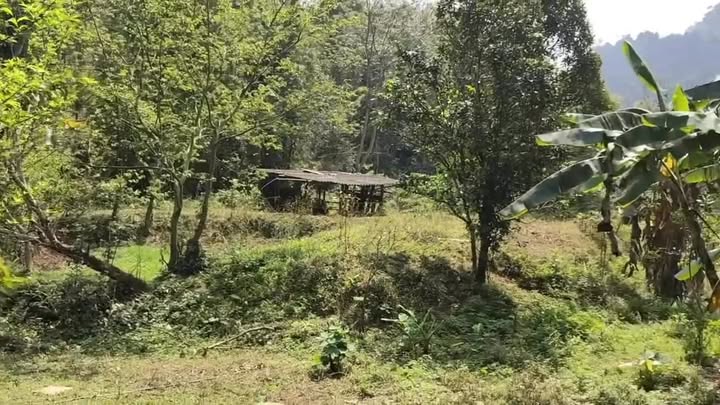 Bán đất vườn 2000m² + Thổ cư 400m² tại Lạc Sơn, Hòa Bình - Chỉ nhỉnh 1 tỷ