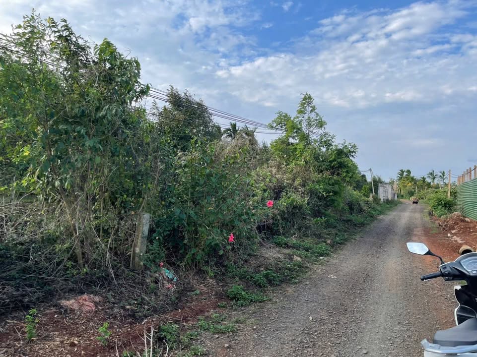 Đất Nền Phú Xuân Krông Năng 400m² - Sổ Đỏ Sẵn Sàng