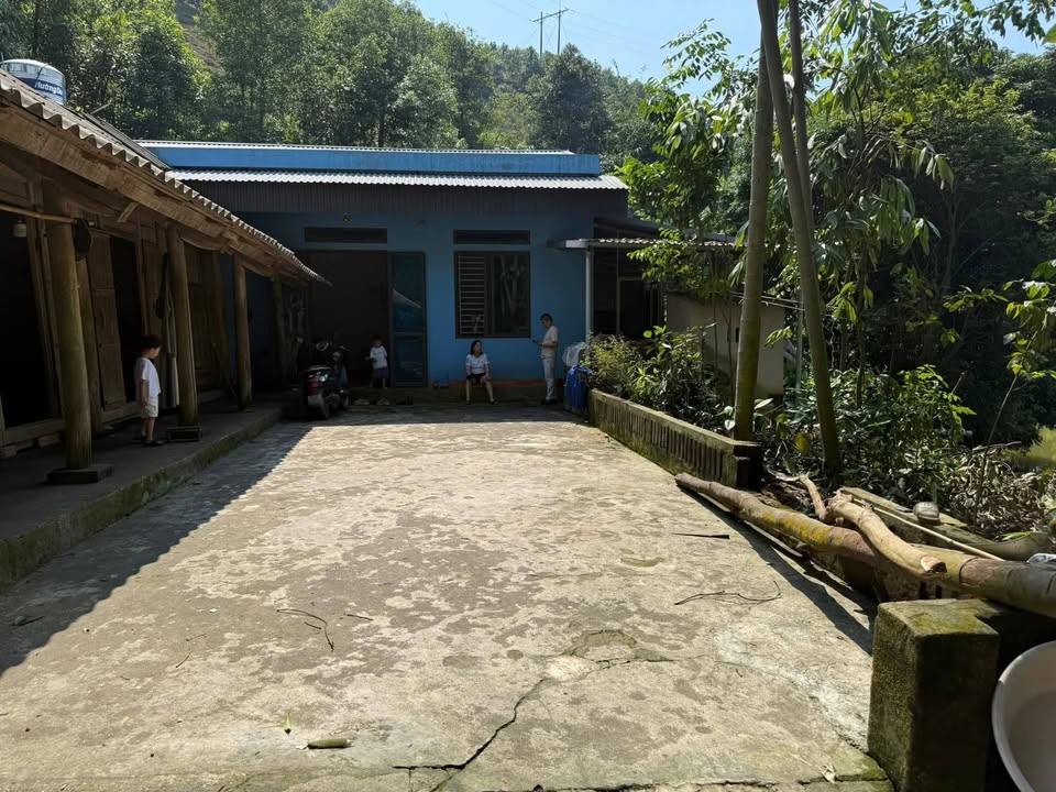 Bán trang trại 2ha tại Lào Cai - Sẵn nhà, ao cá, chuồng trại - Giá 2 tỷ