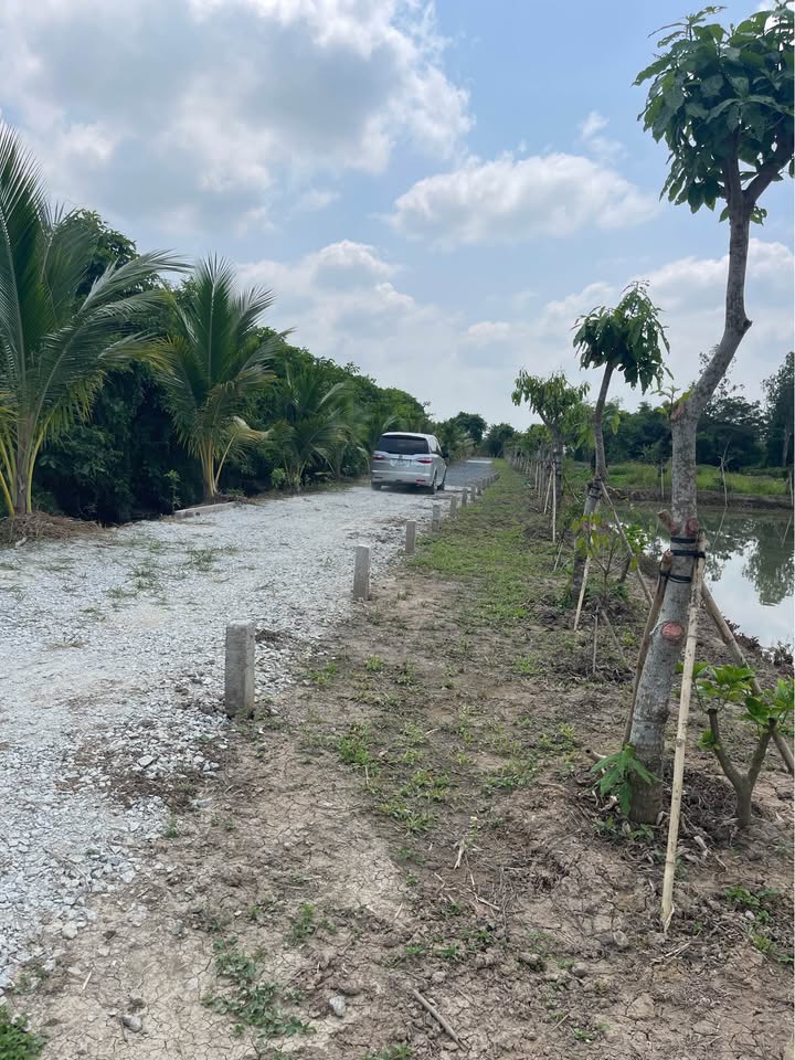 Bán Đất 1000m² Thoại Sơn, An Giang - Sổ Đỏ ODT, Hướng Đông