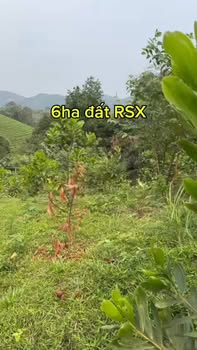 60.000m² Đất RSX Minh Hòa, Phú Thọ - Sẵn Sàng Cho Nông Nghiệp Công Nghệ Cao