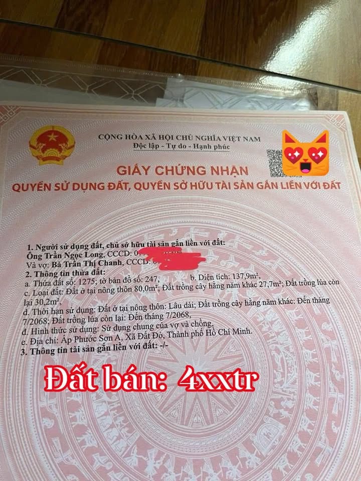 Bán Gấp Đất Mặt Tiền Nhựa Long Đất 203m² - Sổ Riêng Sẵn Sàng