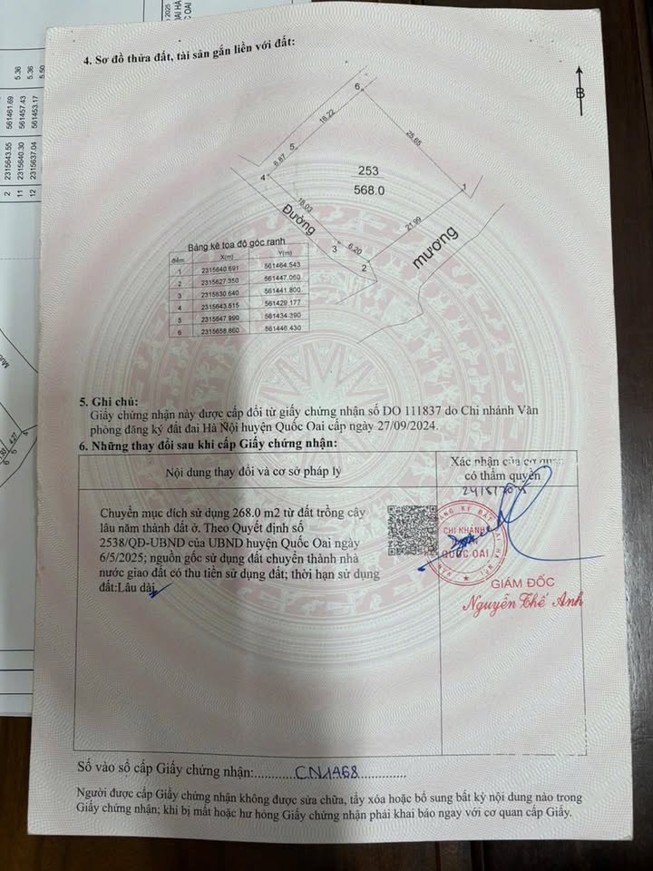 Đất Nền Quốc Oai 568m² - View Đồng Quê Yên Bình - Sẵn Sàng Giao Dịch