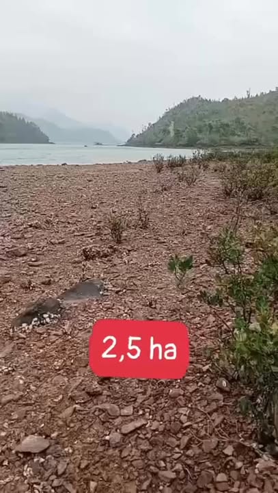 Đất Rừng Sản Xuất 25.000m² View Biển Đảo Quan Lạn - Đầu Tư Sinh Lời